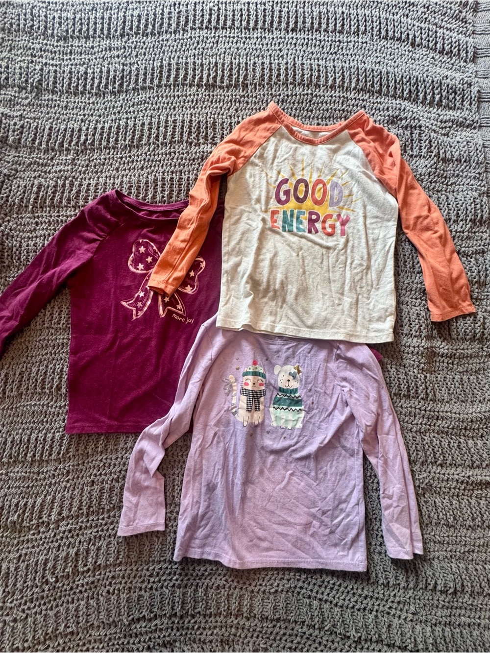 Garanimals Shirt Set